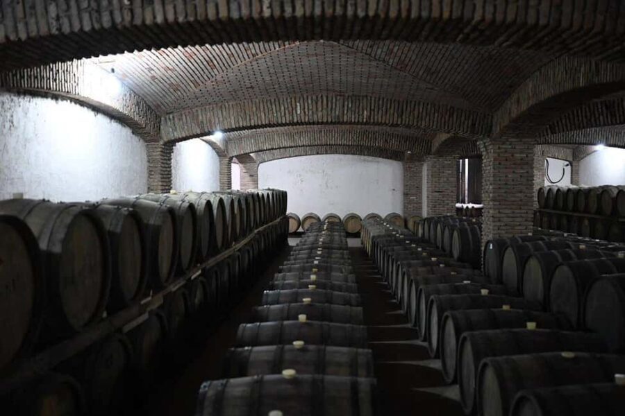 Tbilisi: Kakheti Wine Tour with Kindzmarauli Winery Visit - The Practical Details