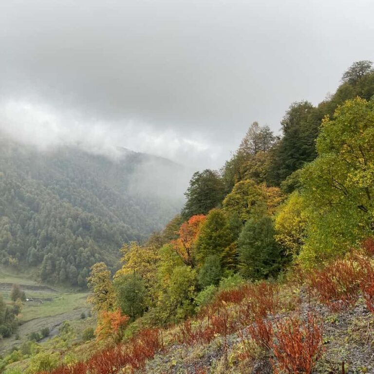 Tbilisi: Pankisi Gorge Horse Riding Tour with Dinner - Practical Details and What to Keep in Mind