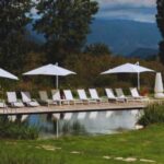 Teano: Biodynamic Wine Tasting with Tapas - An In-Depth Look at the Experience