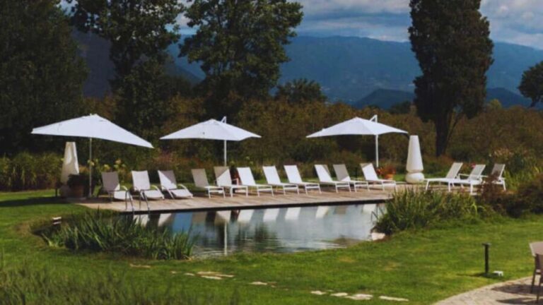 Teano: Biodynamic Wine Tasting with Tapas - An In-Depth Look at the Experience