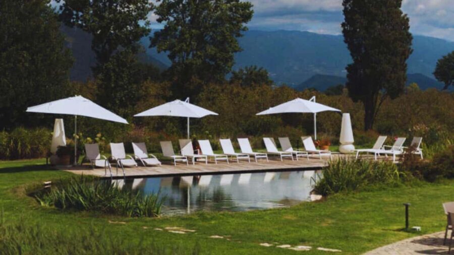 Teano: Biodynamic Wine Tasting with Tapas - An In-Depth Look at the Experience