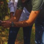 Teano: Biodynamic Winery Experience with 4-Course Meal - Who Will Love This?