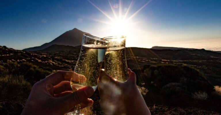 Teide: Guided Sunset & Stargazing Tour by Night with Dinner - Who Is This Tour Best For?