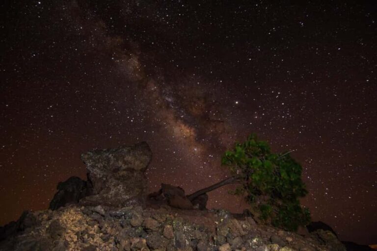 Teide National Park: Sunset & Stars Guided Night Tour - Who Will Love This Experience?