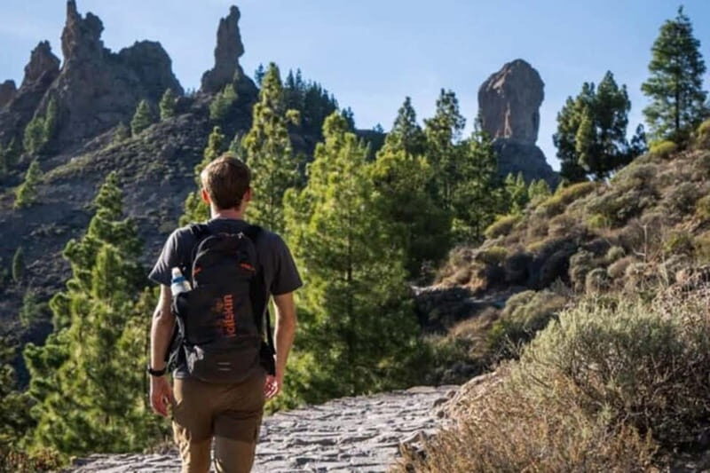 Tejeda: Roque Nublo Base Camp Xperience: Hike, Picnic & More - The Experience in Detail