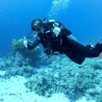 Tenerife - 2 Guided Dives for Certified Divers - Half Day - Who Will Love This Experience?