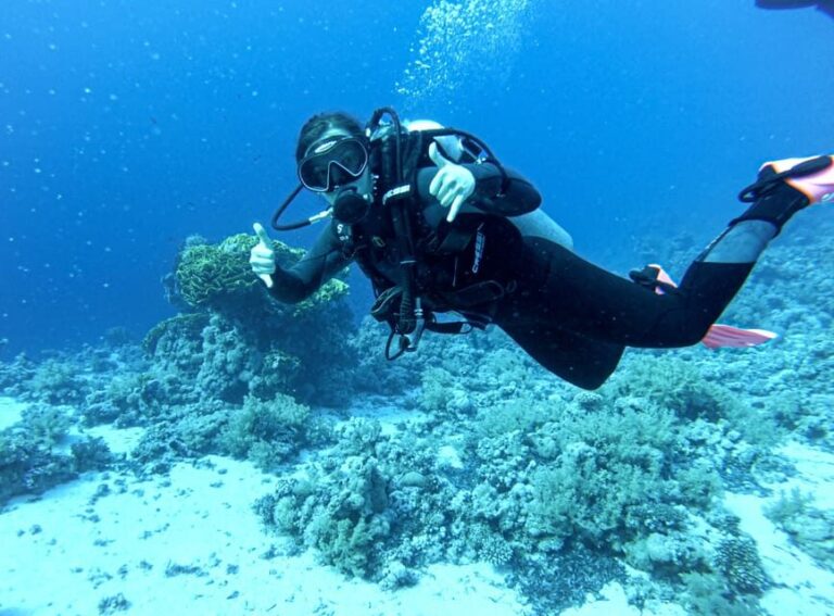 Tenerife - 2 Guided Dives for Certified Divers - Half Day - Who Will Love This Experience?