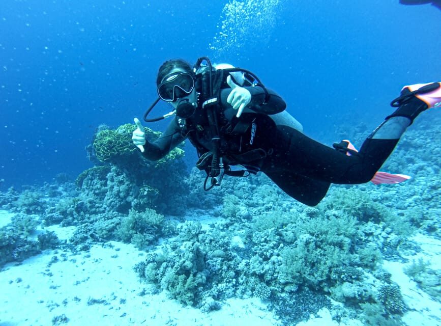 Tenerife - 2 Guided Dives for Certified Divers - Half Day - Who Will Love This Experience?