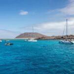Tenerife: Adults-Only Whale & Dolphin Catamaran Cruise - The Experience: A Closer Look