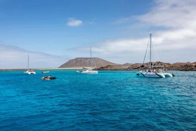 Tenerife: Adults-Only Whale & Dolphin Catamaran Cruise - The Experience: A Closer Look