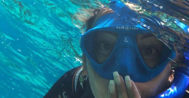 Tenerife: Alcalá Guided Snorkeling Tour - Who Should Consider This Tour?