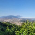 Tenerife Anaga Mountains: Circular hike in the laurel forest  small group max. 10 - The Sum Up