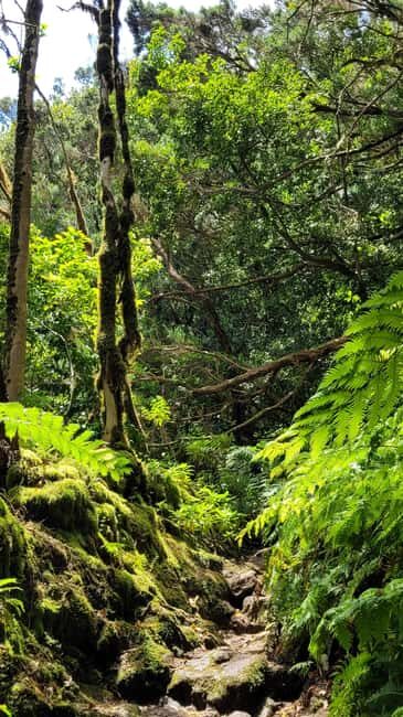 Tenerife Anaga Mountains: Circular hike through the Taganana Valley - small group max. 10 - Practical Tips for the Hike
