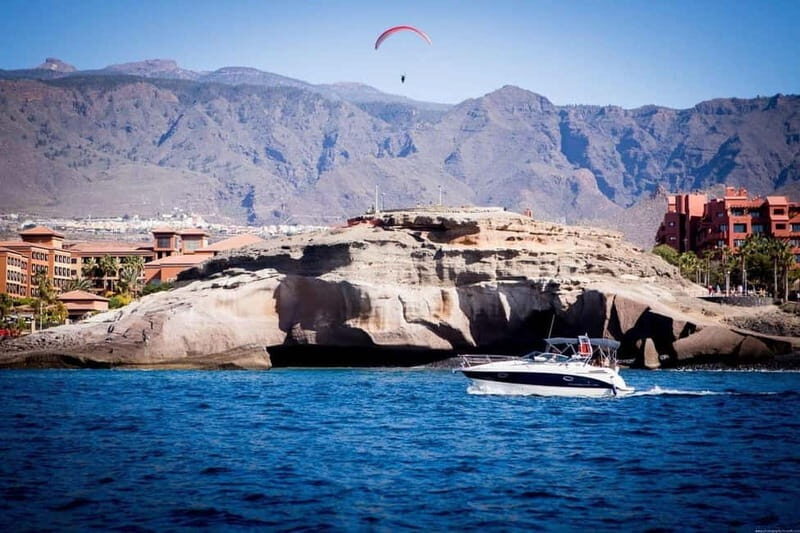Tenerife: Armani Charter with Snacks and Drinks 2-3-6 hours - Wildlife Watching: Dolphins and Whales