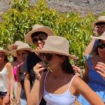 Tenerife: Avocado Farm Tour with Tasting Menu & Wine - The Reviews in a Nutshell