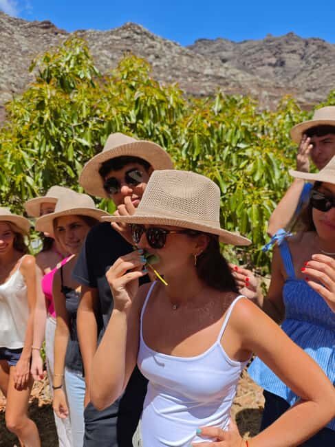 Tenerife: Avocado Farm Tour with Tasting Menu & Wine - The Reviews in a Nutshell