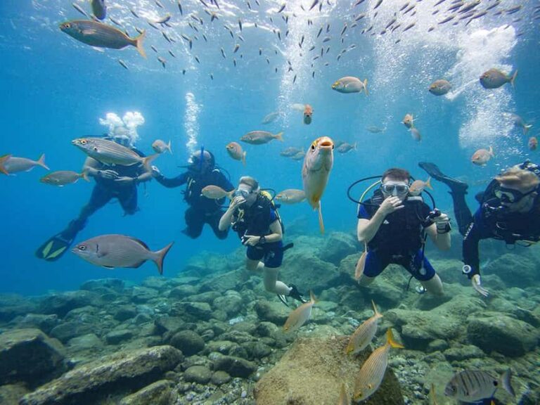 Tenerife: Beginner Scuba Dive Experience with Small Groups - What to Expect on the Tour