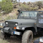 Tenerife: Coastal tour in a Jeep Wrangler to Los Gigantes and the South Coast - What Makes This Tour Stand Out