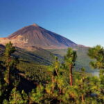 Tenerife: Combo Jet Ski & Quad Experience - Quad Biking: Conquering Volcanoes and Forest Trails