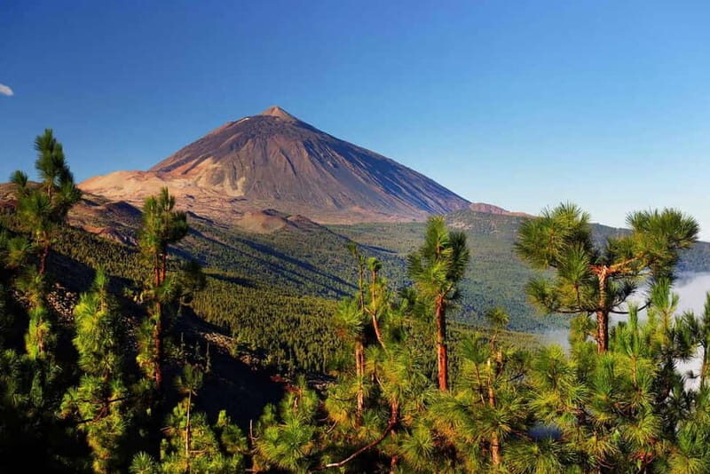 Tenerife: Combo Jet Ski & Quad Experience - Quad Biking: Conquering Volcanoes and Forest Trails