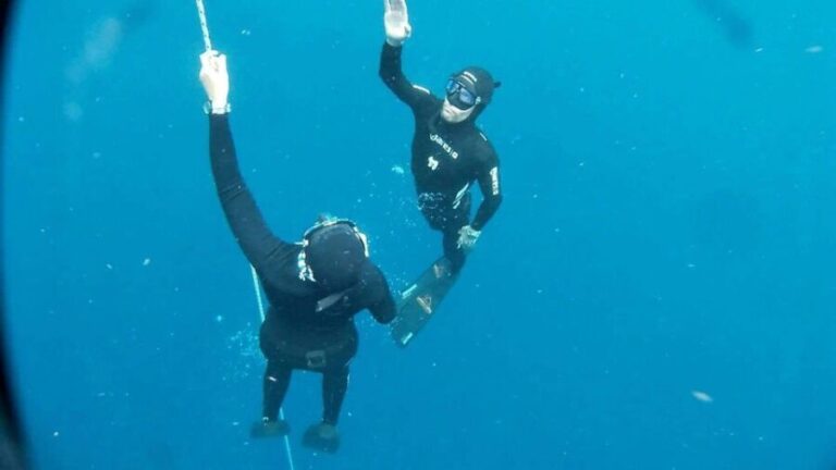 Tenerife: Freediving Discovery Course - Who Will Love This Course?