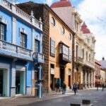 Tenerife: Full-Day Gastronomy and Wine Tour - Who Will Love This Tour?