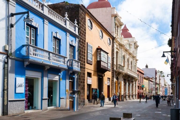 Tenerife: Full-Day Gastronomy and Wine Tour - Who Will Love This Tour?