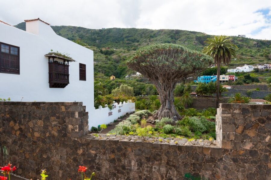 Tenerife: Full-Day Guided Island Tour - The Practical Side: Transportation, Timing, and Cost