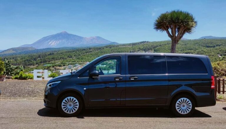 Tenerife: Full-Day Minivan Tour with Villages and Landscapes - Exploring Tenerife in a Day: What You’ll Experience