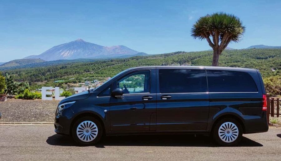 Tenerife: Full-Day Minivan Tour with Villages and Landscapes - Exploring Tenerife in a Day: What You’ll Experience