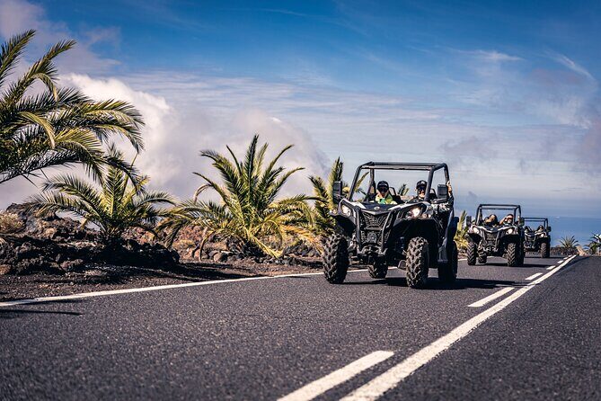 Tenerife Guided Buggy Discovery Tour Around Mount Teide - Whats Included and Whats Not