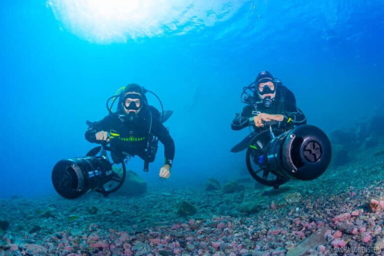 Tenerife: Guided Dive and Scooter Experience - The Dive Experience: What You’ll See and Feel