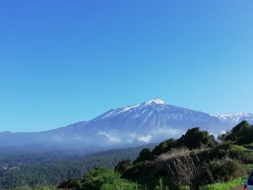 Tenerife: Guided Horseback Riding Tour to the Lomo Forest - The Learning and Atmosphere