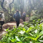 Tenerife: Guided tour guide in the Anaga Rural Park - The Itinerary and Trail Experience