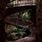 Tenerife: Guided tour with tasting of 6 wines - From the Guides and Visitors