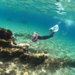 Tenerife: Half-Day Snorkeling Tour - Who Should Consider This Tour?