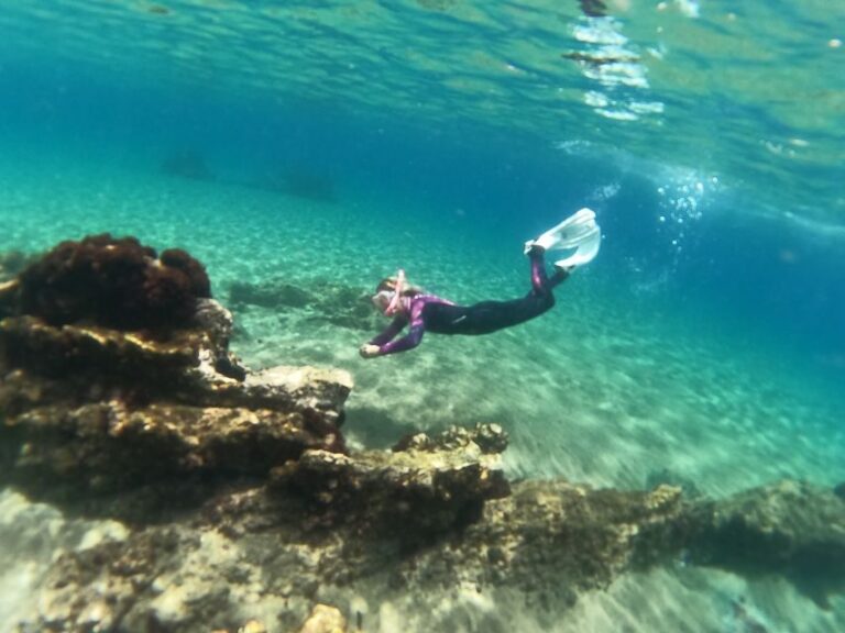 Tenerife: Half-Day Snorkeling Tour - Who Should Consider This Tour?