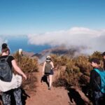 Tenerife: Hike Above Masca in Enchanted Forest with Pick-up - The Scenic Viewpoints