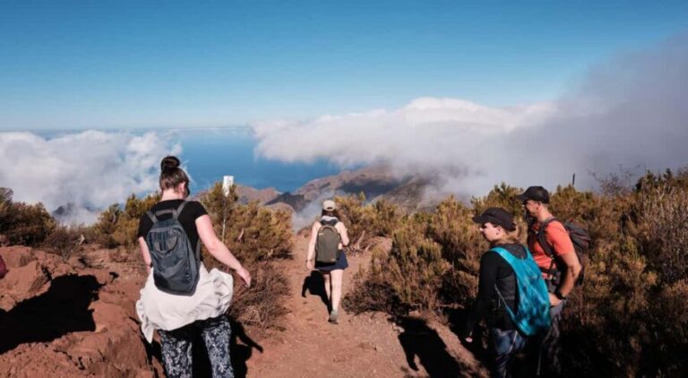 Tenerife: Hike Above Masca in Enchanted Forest with Pick-up - The Scenic Viewpoints