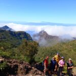 Tenerife: Hiking Above the Village of Masca - What Do Travelers Say?