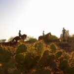 Tenerife: Horseback Ride with Instructor - Practical Details and What to Expect