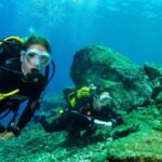 Tenerife: Introductory Dive for Cruise Ship Passengers - The Logistics and Practicalities