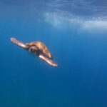 Tenerife: Kayak Sea Safari with Snorkel and Snacks - FAQs