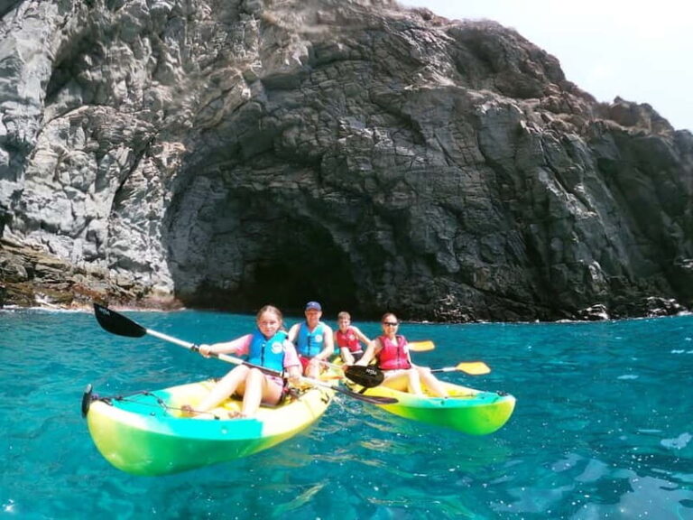 Tenerife: Kayak & Snorkel with Turtles & Dolphins w/Photos - Paddling Along the Coast and Visiting Sea Caves
