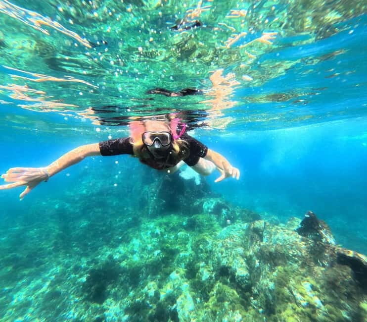 Tenerife: Kayak with Dolphins and Snorkel with Turtles - Pricing and Value