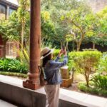 Tenerife: La Laguna, Aloe Vera Farm, and Lunch Tour - What Are the Downsides?