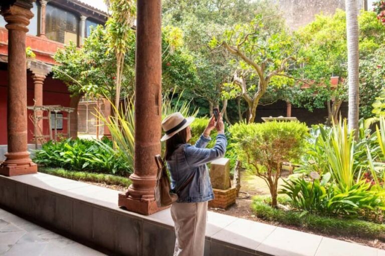 Tenerife: La Laguna, Aloe Vera Farm, and Lunch Tour - What Are the Downsides?