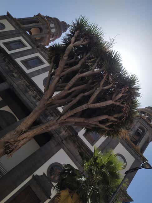 Tenerife: La Laguna Hidden History Walking Tour - The Experience and Its Practicalities