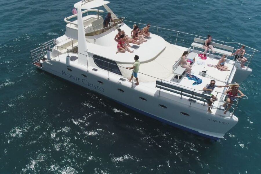 Tenerife: Marine-Life Tour with Transfer, Buffet and Drinks - Why Is This Tour a Great Choice?