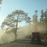 Tenerife: MORNING - 3H Buggy tour of Teide - What to Expect at Each Stop